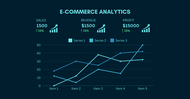 E-commerce Auditing