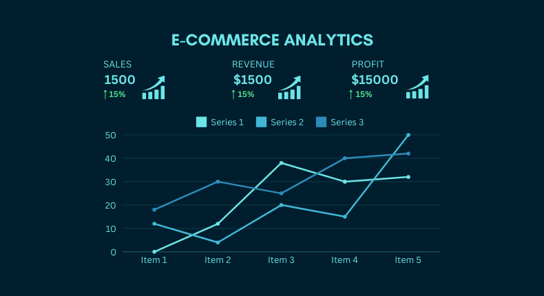 E-commerce Auditing